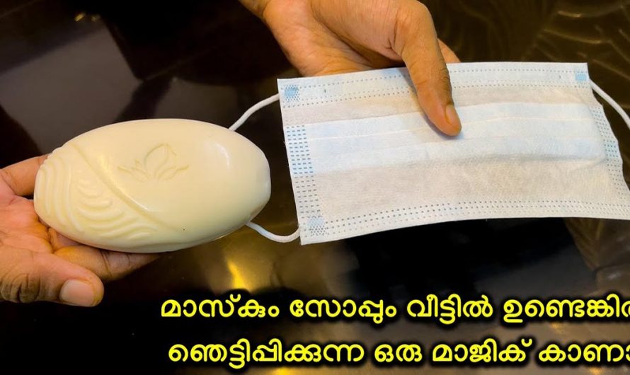 ആരും കാണാതെ പോകല്ലേ ഈ അടിപൊളി ഐഡിയ. മാസ്കും സോപ്പും വീട്ടിലുണ്ടെങ്കിൽ ഇതുപോലെ ചെയ്യൂ. | Useful Bathroom Tip With Mask And Garlic