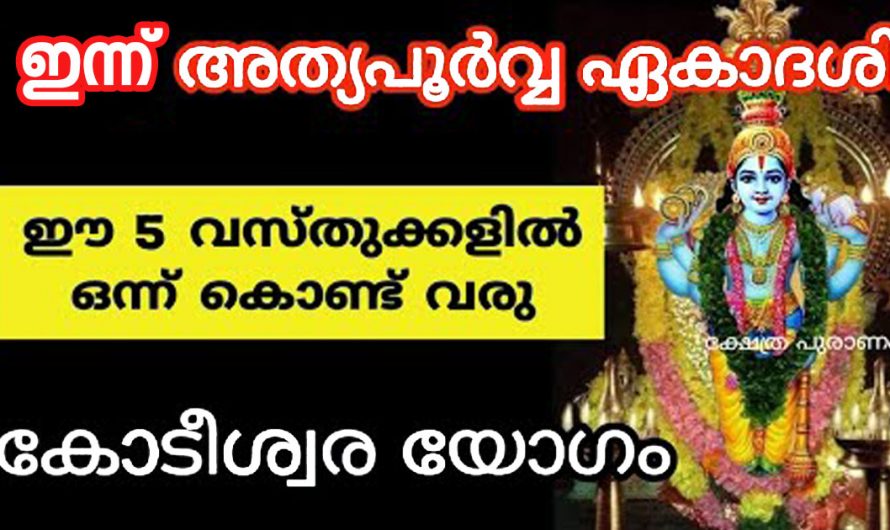 ഇന്ന് ഏകാദശി. ഈ അഞ്ചു വസ്തുക്കളിൽ ഒന്ന് വീട്ടിൽ കൊണ്ടുവരൂ കോടീശ്വരയോഗമാണ് വരാൻ പോകുന്നത്.