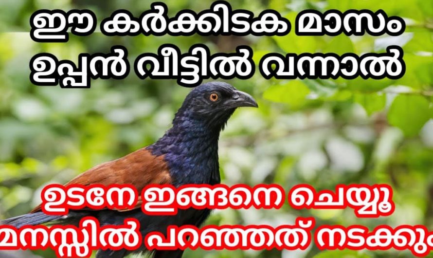 ഈ മാസത്തിൽ വീട്ടിൽ ഉപ്പൻ വന്നാൽ ഉടനെ തന്നെ ഇങ്ങനെ ചെയ്യൂ. മനസ്സിൽ എന്ത് ആഗ്രഹിച്ചാലും നടന്നിരിക്കും.