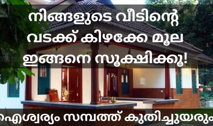 വീടിന്റെ വടക്ക് കിഴക്കേ മൂല നിങ്ങൾ ഇതുപോലെ സൂക്ഷിക്കുക ഐശ്വര്യം സമ്പത്ത് കുതിച്ചുയരും.