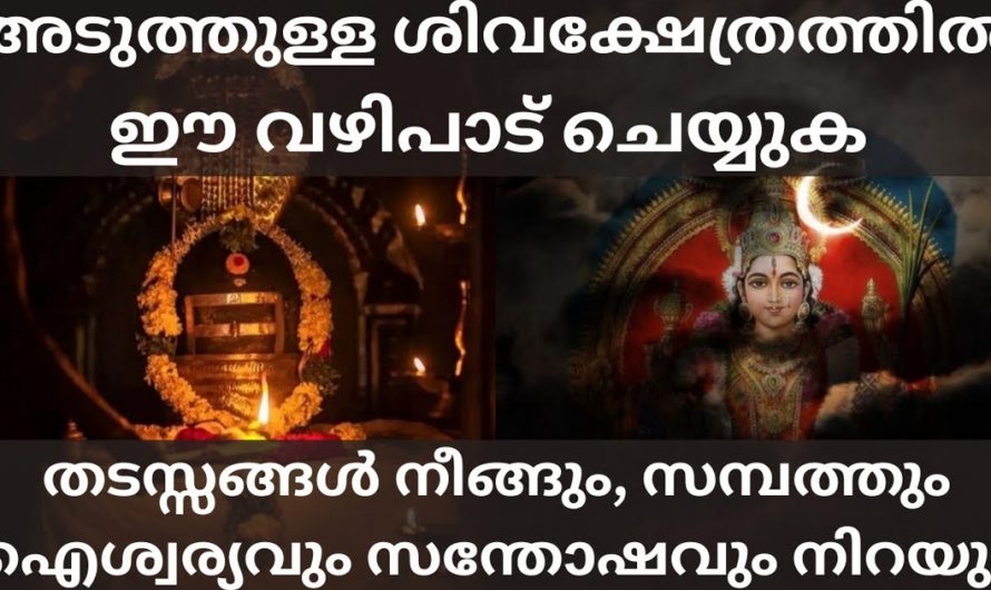 ശിവക്ഷേത്രത്തിൽ ജീവിതത്തിലെ തടസ്സങ്ങൾ ഇല്ലാതായി കിട്ടുന്നതിനും കുടുംബത്തിൽ ഐശ്വര്യം സമ്പത്ത് എന്നിവ ഉണ്ടാകുന്നതിനും ചെയ്യേണ്ട പ്രധാനപ്പെട്ട വഴിപാട്.