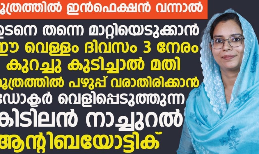 ഡോക്ടർ പറഞ്ഞു തന്ന നാച്ചുറൽ ആന്റിബയോട്ടിക്ക്. മൂത്ര തടസ്സമെല്ലാം ഇനി ഇതോടെ ഇല്ലാതാകും. | Urinary Tract Infection