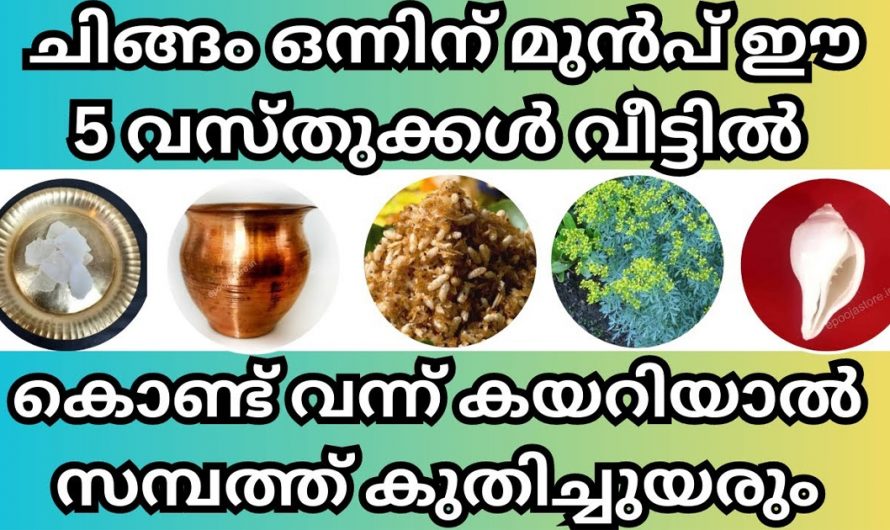 ചിങ്ങമാസം വരുന്നതിനു മുൻപേ വീട്ടിലെ ഈ വസ്തുക്കളെല്ലാം കൊണ്ടുവന്നാൽ വീട്ടിൽ സമ്പത്ത് കുതിച്ചുയരും.