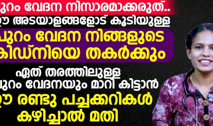 ഏതുതരം പുറം വേദനയും ദിവസങ്ങൾക്കുള്ളിൽ മാറി കിട്ടാൻ ഈ പച്ചക്കറികൾ കഴിച്ചാൽ മതി. | Reduce Backpain Heal Tip