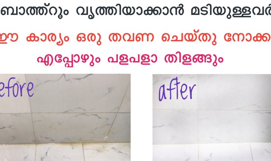 ജോലികളെല്ലാം ഇനി എളുപ്പത്തിൽ തീർക്കാൻ ഇതാ ഒരു എളുപ്പ മാർഗം. ബാത്റൂം ക്ലീൻ ചെയ്യാൻ നിസ്സാരം. | Bathroom Cleaning Easy Tip