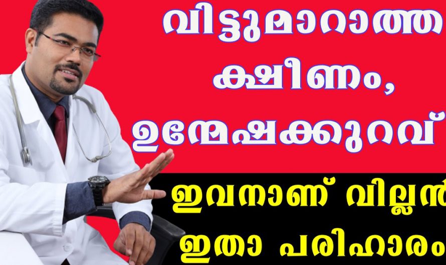 എപ്പോഴും ഉള്ള ക്ഷീണവും ഉന്മേഷക്കുറവ് കുറയ്ക്കാൻ ഇതാ ഒരു പരിഹാരം മാർഗ്ഗം. | Lack Of Energy Here Is The Solution