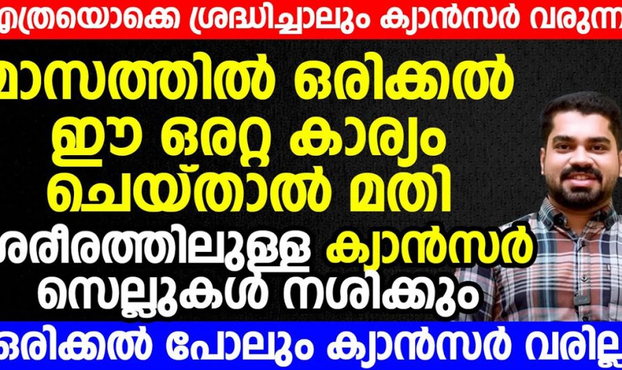 വിട്ടുപോകാതെ ഇക്കാര്യങ്ങൾ ശ്രദ്ധിച്ചാൽ ക്യാൻസർ വരാനുള്ള സാധ്യതകൾ നമുക്ക് കുറയ്ക്കാം. | To Prevent Cancer Cells