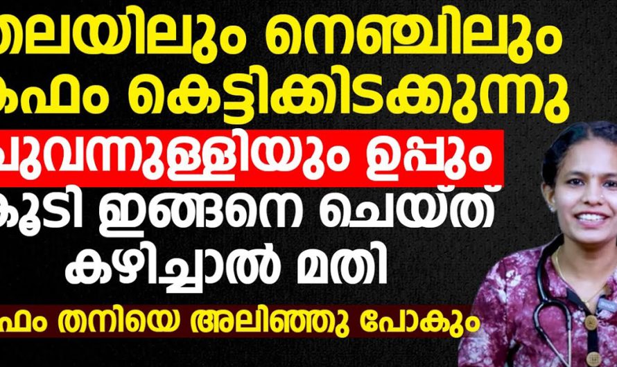 വിട്ടുമാറാത്ത ചുമയും ജലദോഷവും നെഞ്ചിൽ കെട്ടി കിടക്കുന്ന കഫവും ഈ ഒറ്റമൂലി കൊണ്ട് ഇല്ലാതാക്കാം. ഇതാ കണ്ടു നോക്കൂ. | Relieves Chronic Cough And Cold