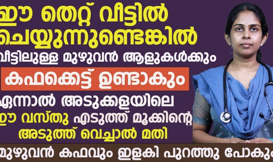 വീട്ടമ്മമാർ ഈ തെറ്റ് ചെയ്യുന്നുണ്ടെങ്കിൽ വീട്ടിൽ എല്ലാവർക്കും ഇനി കഫക്കെട്ട് വരും. | To Prevent Cough Tip