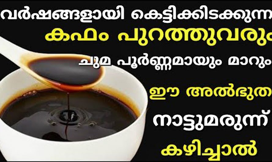 ഇതുപോലെ ഒരു മരുന്ന് കഴിച്ചാൽ കഫക്കെട്ടും ചുമയും എപ്പോ മാറിയെന്ന് ചോദിച്ചാൽ മതി. | Health Care Tip Malayalam