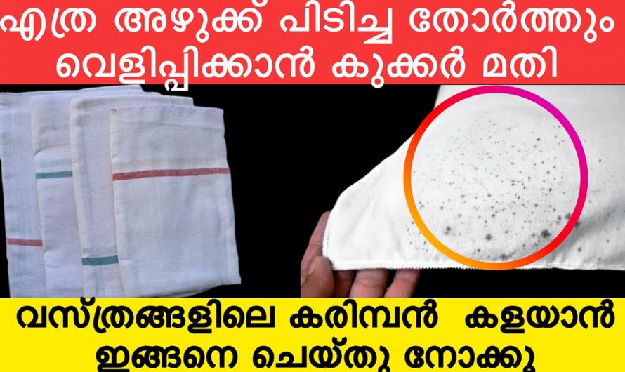 ഒരു കുക്കർ ഉപയോഗിച്ച് കൊണ്ട് അഴുക്ക് പിടിച്ച തോർത്തുകൾ എങ്ങനെ വെളുപ്പിച്ചെടുക്കാം എന്ന് നോക്കാം. | Cleaning Dress With Cooker