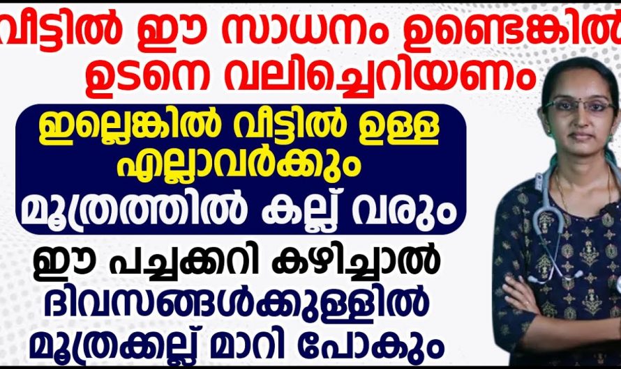 ഈ പച്ചക്കറികൾ കഴിച്ചാൽ മൂത്രക്കല്ല് മാറിപ്പോകും. | Urinary stones will pass