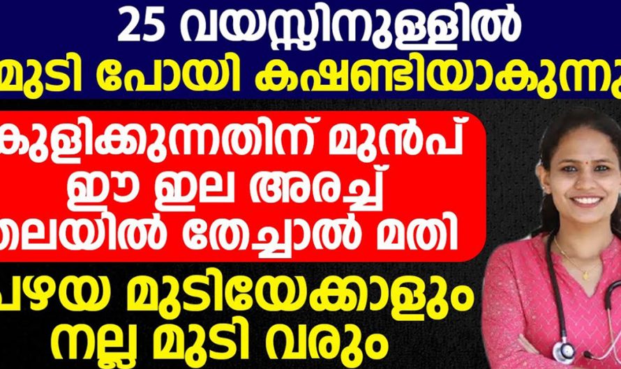 തലമുടി എല്ലാം പോയി പെട്ടെന്ന് കഷണ്ടി ആവാതിരിക്കാൻ ഔഷധഗുണമുള്ള ഈ ഇല അരച് തലയിൽ തേച്ചാൽ മതി. | Hair Care Malayalam Tip