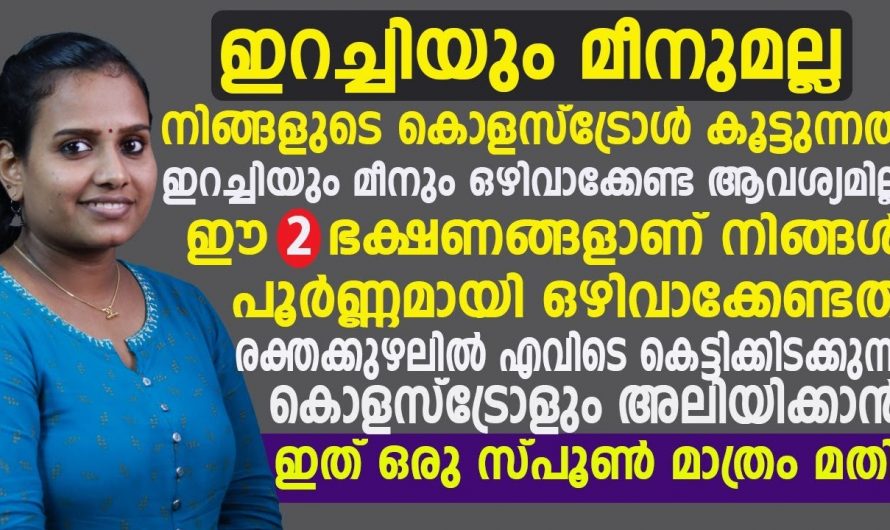 ഈ രണ്ടു ഭക്ഷണങ്ങൾ ഒഴിവാക്കിയാൽ തന്നെ കൊളസ്ട്രോൾ കുറഞ്ഞു വരുന്നതായിരിക്കും. ഇനി ഇറച്ചിയും മീനും കഴിക്കാം.