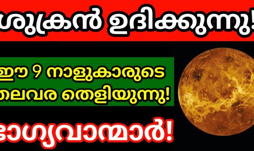 ശുക്രൻ ഉദിക്കുന്നു. ഈ 9 നക്ഷത്രക്കാരുടെ തലവരയും തെളിയുന്നു. ഇവർ ഭാഗ്യവാന്മാർ.