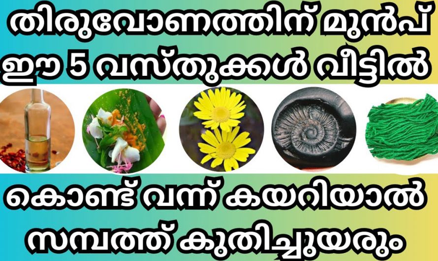 തിരുവോണത്തിനു മുൻപ് തന്നെ ഈ വസ്തുക്കൾ വീട്ടിലേക്ക് കൊണ്ടുവന്നാൽ സമ്പത്ത് കുതിച്ചുയരും.