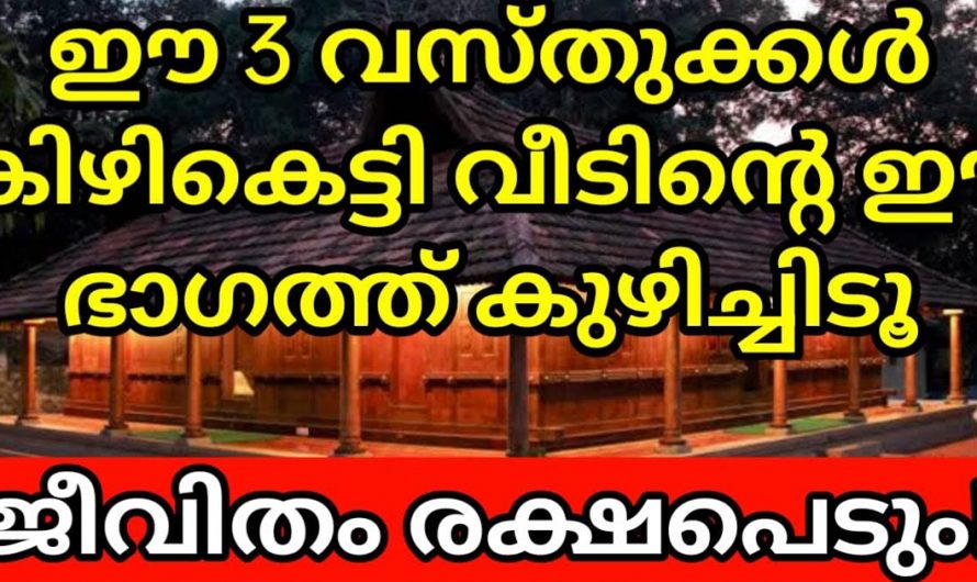 ഈ പറയുന്ന മൂന്നു വസ്തുക്കൾ ഒരു കിഴി പോലെ കെട്ടി വീടിന്റെ ഈ ഭാഗത്ത് കുഴിച്ചിടു. എല്ലാ ദോഷങ്ങളും ഇതോടെ തീരും.