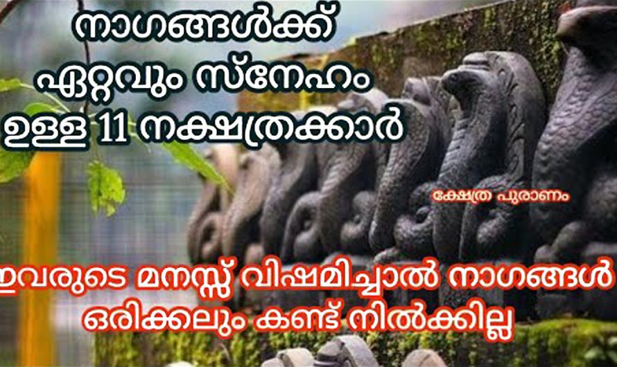 നാഗ ദൈവങ്ങളുടെ അനുഗ്രഹം ജനനം മുതൽ ലഭിച്ചിട്ടുള്ള നക്ഷത്രക്കാർ. ഇവർക്ക്‌ തുണയായി എപ്പോഴും നാഗങ്ങൾ ഉണ്ടായിരിക്കും.