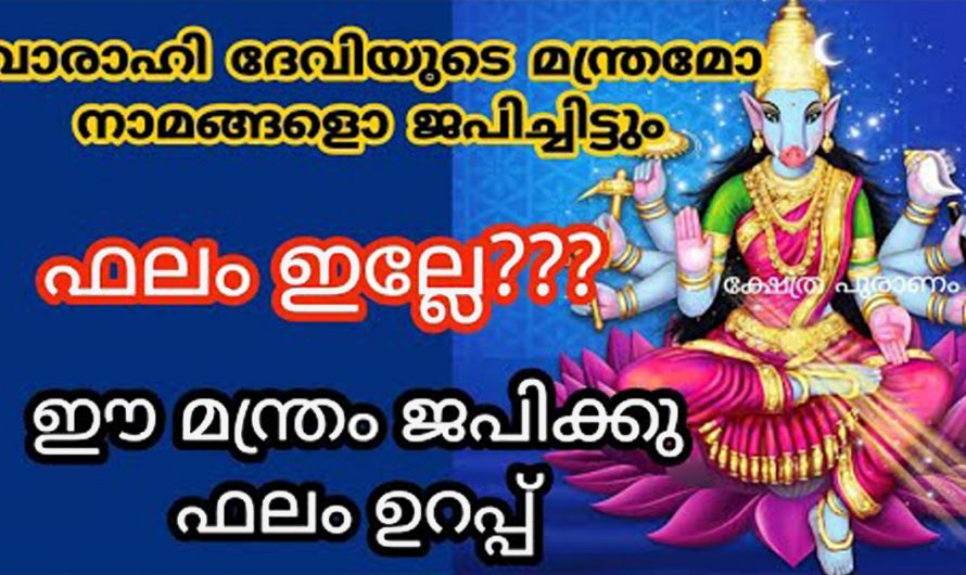 വരാഹി ദേവിയുടെ മന്ത്രമോ നാമങ്ങളും ജപിച്ചിട്ടും ഫലം ഉണ്ടാകുന്നില്ല. എന്നാൽ ഈ ഒറ്റ മന്ത്രം ജപിച്ചാൽ മതി. ഐശ്വര്യം തേടി വരും.