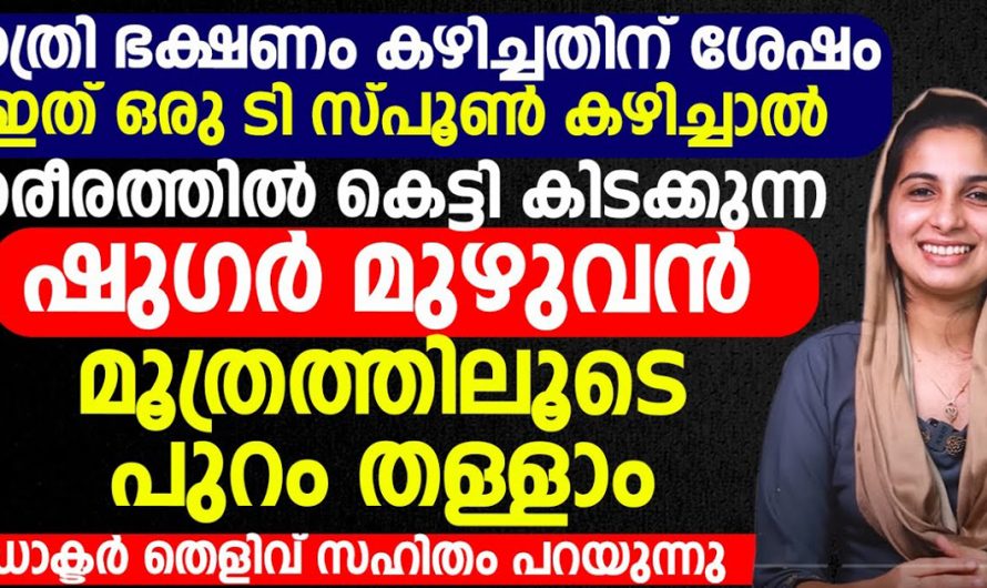 ഷുഗർ എല്ലാം ഇനി പമ്പകടക്കും. ഈ കാര്യങ്ങൾ പ്രത്യേകം ശ്രദ്ധിക്കൂ. | Sugar Reduce Tips