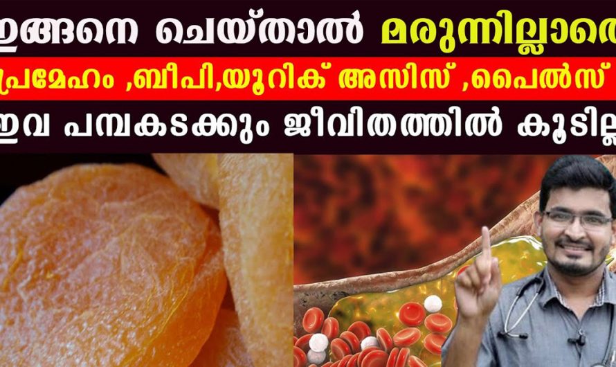 എല്ലാ അസുഖങ്ങൾക്കും ഒരേയൊരു പ്രതിവിധി. മരുന്ന് കഴിക്കാതെ തന്നെ ആരോഗ്യം മെച്ചപ്പെടുത്താൻ ഇതുപോലെ ചെയ്യുക. | Health Care Tip Malayalam