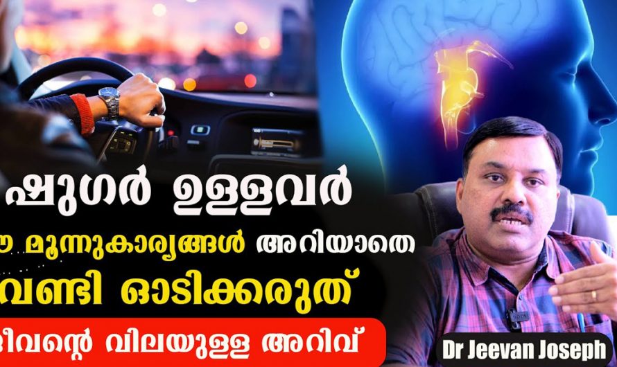 പ്രമേഹരോഗികളും ഡ്രൈവിങ്ങും. ഇതറിയാതെ നിങ്ങൾ വണ്ടിയോടിക്കരുത്. | Important Health Information