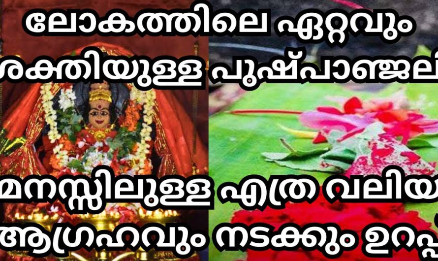 ലോകത്തിലെ ഏറ്റവും ശക്തിയുള്ള വഴിപാട്. ഈ വഴിപാട് നിങ്ങൾ ചെയ്താൽ ഏതു വലിയ ആഗ്രഹവും സാധിക്കും.