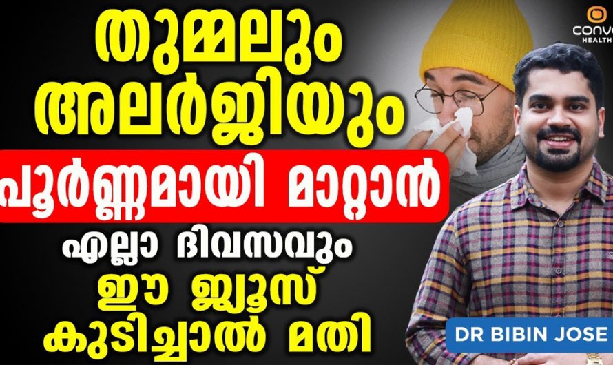 തുമ്മലും അലർജിയും ഇനി വരും എന്ന പേടി വേണ്ട. ഈ ജ്യൂസ് കുടിച്ചാൽ മതി എല്ലാം പമ്പ കടക്കും. | Allergy in Malayalam