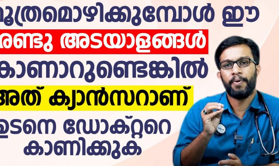 ക്യാൻസർ രോഗത്തെ എങ്ങനെ തിരിച്ചറിയാം. ഈ അറിവുകൾ കാണാതെ പോകരുത്. | Cancer Early Symptoms