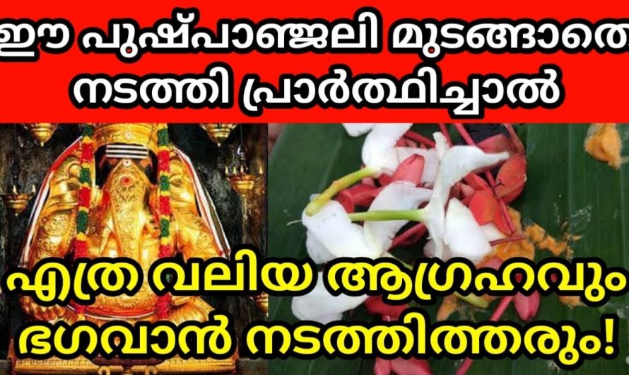 അത്ഭുതകരമായ ഫലം ലഭിക്കുന്ന ഈ വഴിപാട് ചെയ്താൽ മതി ഇനി എത്ര വലിയ ആഗ്രഹമാണെങ്കിലും നടന്നിരിക്കും.