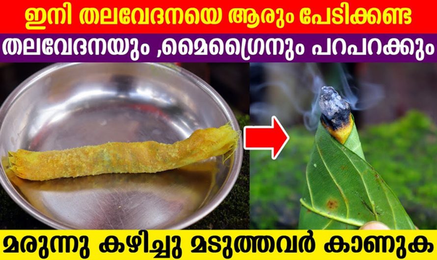 ഇതുപോലെ ഒന്ന് പുകയ്ക്കു. എത്ര വലിയ തലവേദനയും നിമിഷനേരം കൊണ്ട് മാറും. | Migraine home remedies