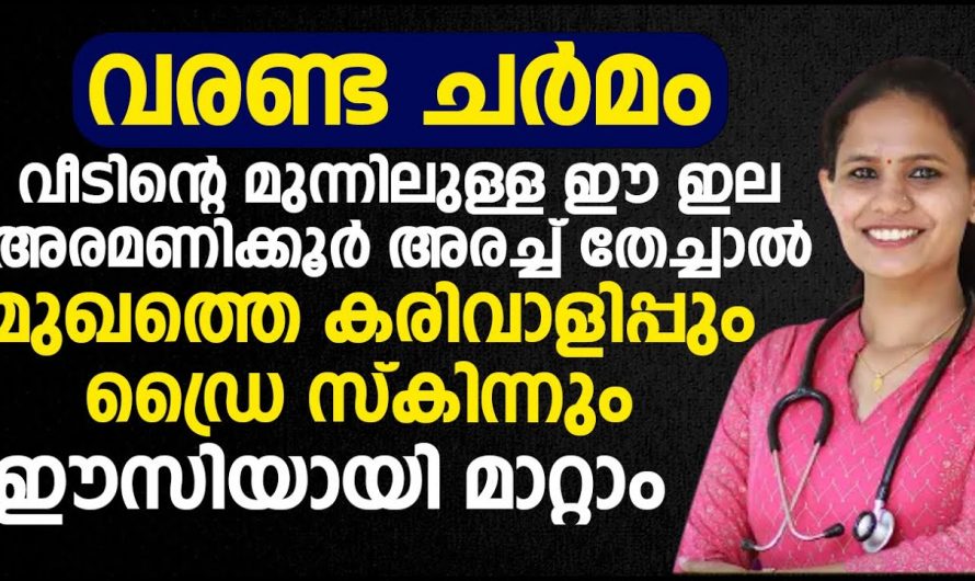 ഈ ഇല അരമണിക്കൂർ അരച്ച് തേച്ചാൽ മുഖത്തെ കരിവാളിപ്പും ഡ്രൈ സ്കിന്നും ഈസിയായി മാറ്റാം. | face Care Home Tips