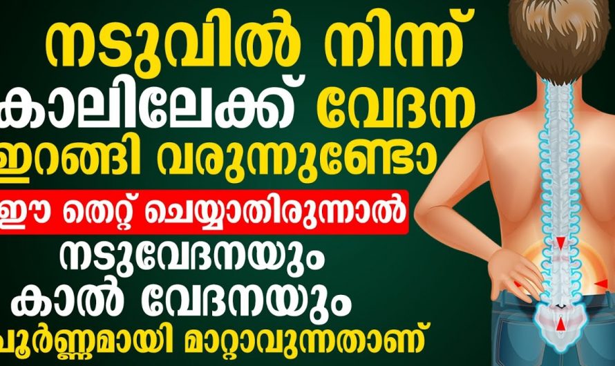 നടുവിന്റെ വേദന കാലിലേക്ക് വരുന്നുണ്ടോ ഈ തെറ്റ് ചെയ്യാതിരുന്നാൽ ഇനി വേദന വരില്ല. | Reduce Back Pain Tip Malayalam