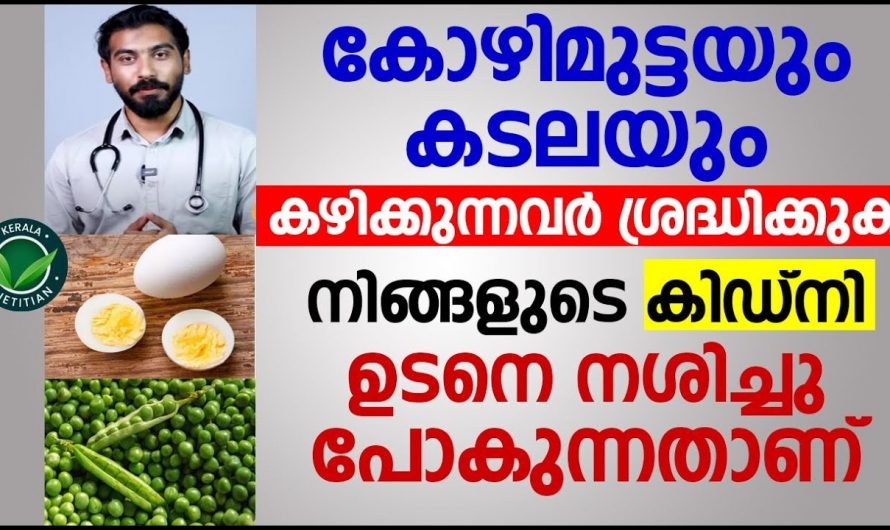 കോഴിമുട്ടയും കടലയും കഴിക്കാൻ ഇഷ്ടപ്പെടുന്നവർ കഴിക്കുമ്പോൾ ഇക്കാര്യങ്ങൾ ശ്രദ്ധിക്കാൻ മറക്കരുത്. | kidney problems malayalam