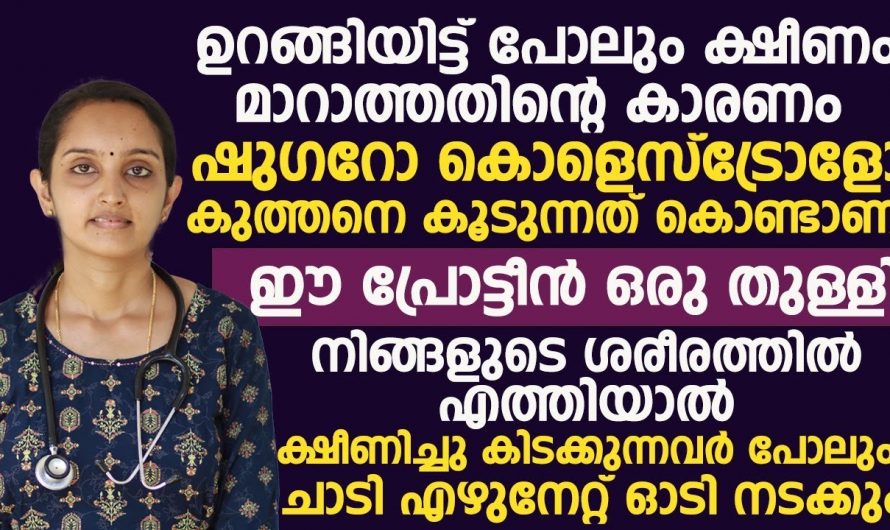 എത്ര ഉറങ്ങിയിട്ടും ക്ഷീണം മാറുന്നില്ല. ഈ പ്രോട്ടീൻ ഒരു തുള്ളി ശരീരത്തിൽ എത്തിയാൽ മതി നിങ്ങൾ ചാടി എഴുന്നേറ്റ് നടക്കും. | Prevent Tired Problems