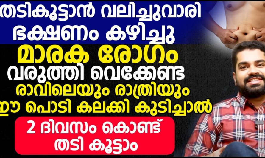 തടി കൂട്ടാൻ വാരിവലിച്ച് ഭക്ഷണം കഴിച്ചാൽ ഈ മാറാരോഗങ്ങൾ വരും. ഇക്കാര്യങ്ങൾ ശ്രദ്ധിക്കാതെ പോകരുത്. | Fast Food Is Very Dangerous