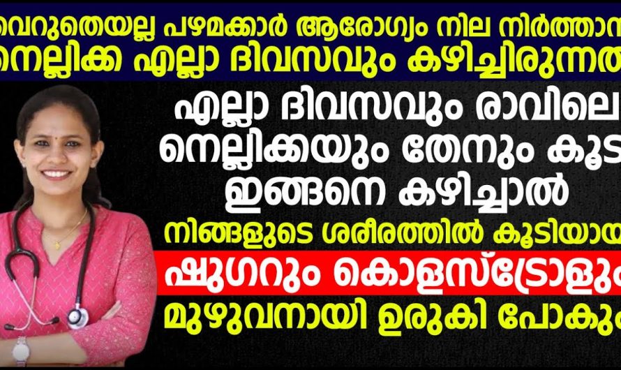 നിങ്ങളുടെ ശരീരത്തിലെ കൂടിയ ഷുഗറും കൊളസ്ട്രോളും ഉരുകി ഇല്ലാതാകുവാനുള്ള എളുപ്പ മാർഗം. ഡോക്ടർ പറയുന്നത് കേൾക്കൂ. | To dissolve sugar and cholesterol