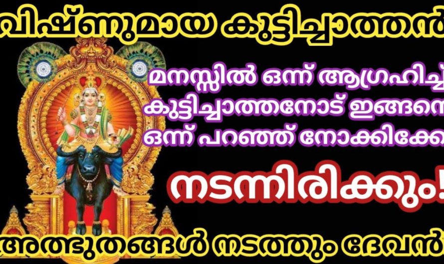 വിഷ്ണുമായ കുട്ടിച്ചാത്തനോട് ഇതുപോലെ പ്രാർത്ഥിച്ചു നോക്കൂ. ജീവിതത്തിലെ എല്ലാ ആഗ്രഹങ്ങളും നടക്കും.