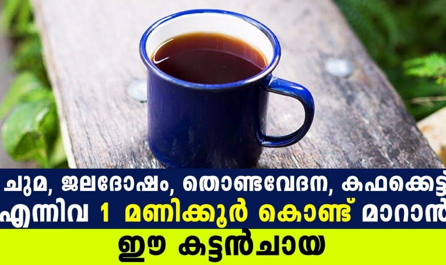 ഒരു മണിക്കൂർ കൊണ്ട് ചുമയും ജലദോഷവും മാറ്റാൻ ഈയൊരു കട്ടൻ ചായ കുടിച്ചാൽ മതി. | Healthy Chaya In Cough Time