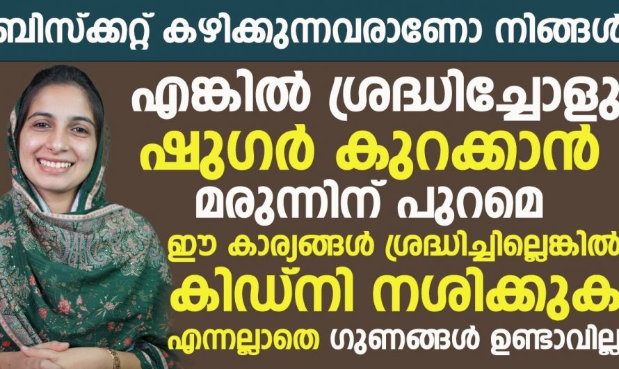 ഷുഗർ കുറയ്ക്കാൻ മരുന്നിനു പുറമേ ഇക്കാര്യങ്ങൾ ശ്രദ്ധിച്ചില്ലെങ്കിൽ കിഡ്നി നശിക്കുക തന്നെ ചെയ്യും. | Prevent Sugar problem