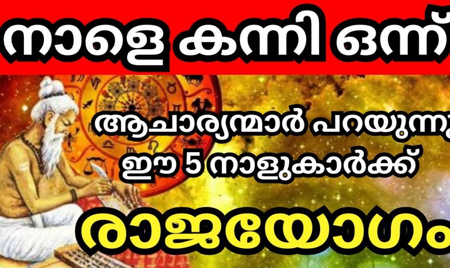 ആചാര്യന്മാർ പറയുന്നത് കേട്ടോ. ഈ കന്നിമാസം രാജയോഗം ആരംഭിക്കാൻ പോകുന്ന 5 നക്ഷത്രക്കാർ.