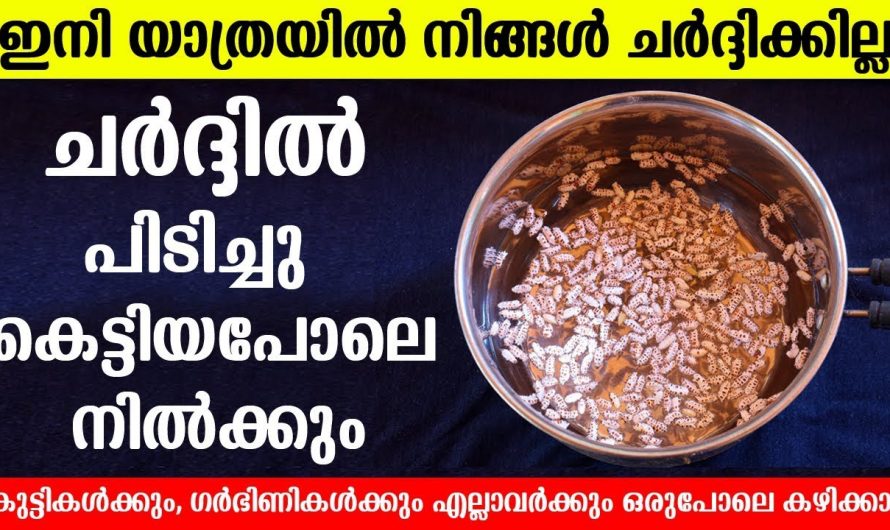 യാത്രയിൽ ചർദ്ദിക്കാതിരിക്കാൻ ഈ വെള്ളം തയ്യാറാക്കി കയ്യിൽ പിടിക്കൂ. ഇനി നിങ്ങൾ ചർദ്ദിക്കില്ല. | Healthy Drink Making Malayalam