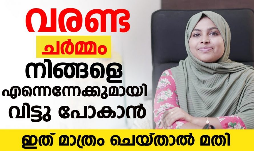 വരണ്ട ചർമം നിങ്ങളെ എന്നന്നേക്കുമായി വിട്ടു പോകാൻ ഇത് മാത്രം ചെയ്താൽ മതി. | Prevent Dry Skin