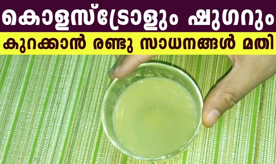 കൊളസ്ട്രോളും ഷുഗറും കുറയ്ക്കാൻ വീട്ടിലെ ഈ രണ്ടു സാധനങ്ങൾ മാത്രം മതി. | Tip for Remove cholesterol Completely