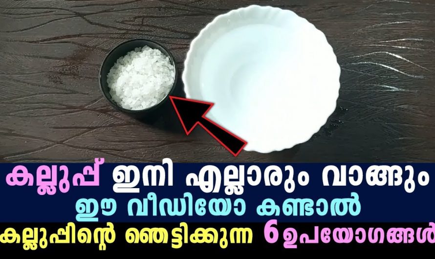 കല്ലുപ്പ് ഇനി എല്ലാവരും ഉറപ്പായും വാങ്ങും കല്ലുപ്പിന്റെ ഞെട്ടിക്കുന്ന ആറ് ഉപയോഗങ്ങൾ. | Health Of Salt