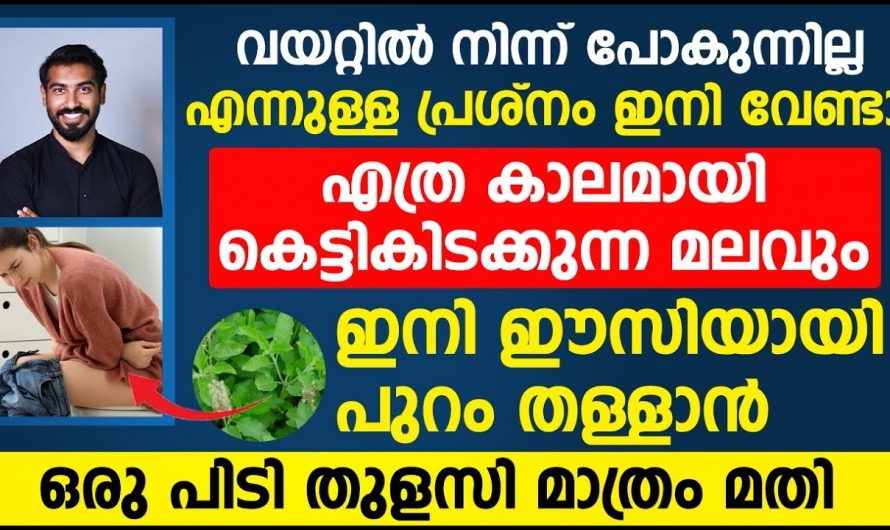 മലബന്ധത്തിനുള്ള കാരണംഇതാണ്  ആരും പറഞ്ഞു തരാത്ത രഹസ്യം!