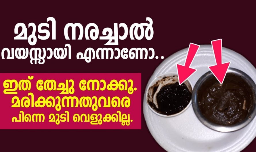 കറുത്ത തിളക്കമുള്ള മുടി നിങ്ങൾക്കും വേണോ. ഈ നുറുങ്ങു വിദ്യ ഒന്ന് പരീക്ഷിച്ചു നോക്കൂ..