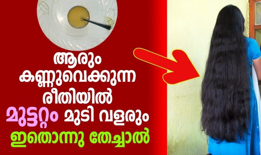 നീളമുള്ള മുടി ലഭിക്കാൻ ഈ മൂന്ന് ചേരുവകൾ മാത്രം മതി…