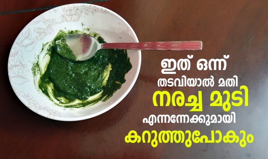 മുടി കറുപ്പിക്കാൻ ഇത്രയും നല്ല ഡൈ വേറെയില്ല പരീക്ഷിച്ചു നോക്കൂ