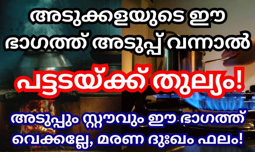 നിങ്ങളുടെ വീടിന്റെ അടുപ്പ് ഈ ദിശയിൽ വന്നാൽ.. ഇത് അറിയാതെ പോകരുത്